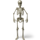 Standing skeleton icon